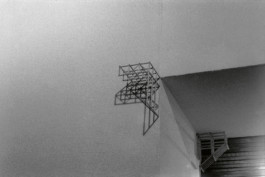 Paul Cullen Archive