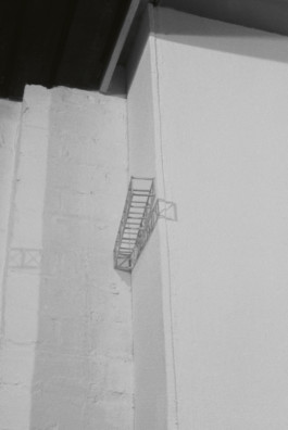 Paul Cullen Archive