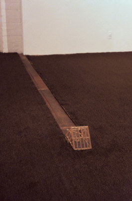 Paul Cullen Archive