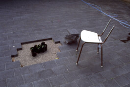 Paul Cullen Archive