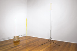 Paul Cullen Archive