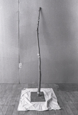 Paul Cullen Archive