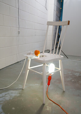 Paul Cullen Archive