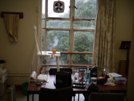Paul Cullen Archive