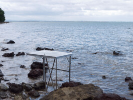 Paul Cullen Archive